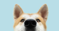 1747513106388.png