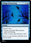Wings of Knowing.png
