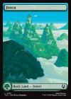 tla-291-forest.jpg