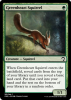 Greenheart Squirrel.png