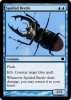 Spoiled Beetle.jpg