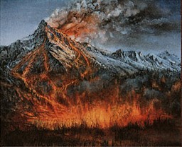 Wildfire Primer