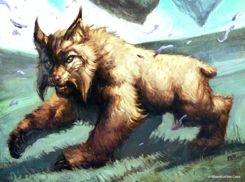 CubeTutor Champion Contest