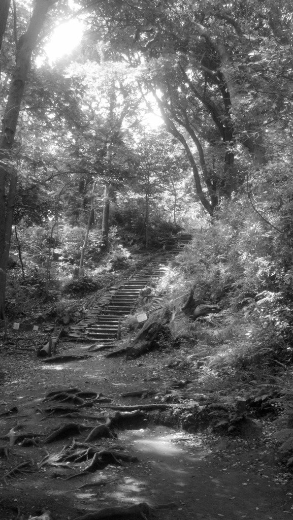 Notes From The Road: Japan Part 1